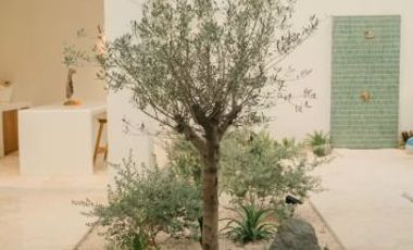 DIJUAL CEPAT Luxury Villa Marcio Sudah Siap Pakai