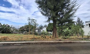 Prime Lot Across the Clubhouse | Scenic View in Ponte Verde, Antipolo