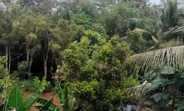 For Sale – Modern House in Licin, Banyuwangi