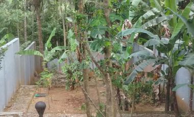 For Sale – Modern House in Licin, Banyuwangi