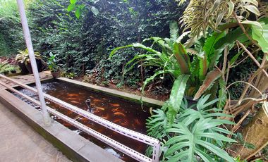 Dijual Rumah Konsep Kayu di Kawasan Sejuk dan Asri Pondok