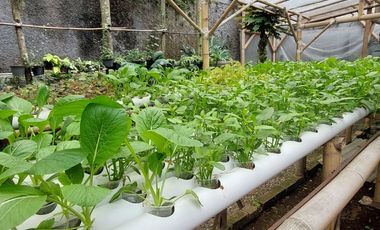 Dijual Rumah Konsep Kayu di Kawasan Sejuk dan Asri Pondok