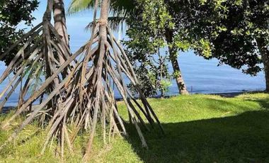 For sale Villa Lovina Singaraja