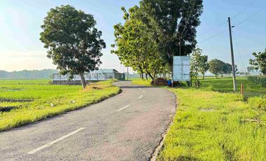 Tanah Pinggir Jalan Dekat SMAN 1 Ketanggungan Brebes