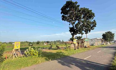 Tanah Pinggir Jalan Dekat SMAN 1 Ketanggungan Brebes