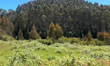 Venta de parcelas en Pichirropulli • ¡OFERTA Especial! $16.900.000