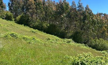 Venta de parcelas en Pichirropulli • ¡OFERTA Especial! $16.900.000