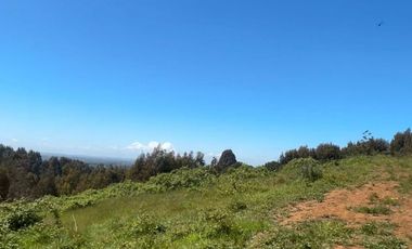 Venta de parcelas en Pichirropulli • ¡OFERTA Especial! $16.900.000