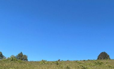 Venta de parcelas en Pichirropulli • ¡OFERTA Especial! $16.900.000