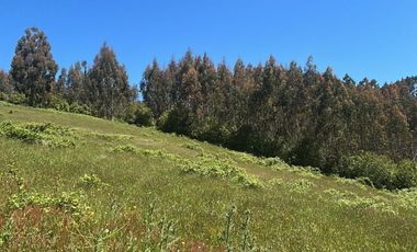 Venta de parcelas en Pichirropulli • ¡OFERTA Especial! $16.900.000