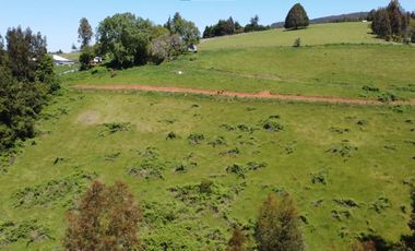 Venta de parcelas en Pichirropulli • ¡OFERTA Especial! $16.900.000