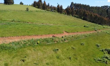 Venta de parcelas en Pichirropulli • ¡OFERTA Especial! $16.900.000