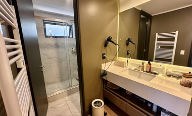 Estupendo Depto. Duplex Con Roostop Equipado En Vitacura