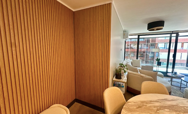 Estupendo Depto. Duplex Con Roostop Equipado En Vitacura