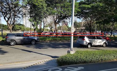 Commercial Lot For Sale in Alabang, Filinvest,  Muntinlupa City