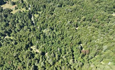 CASA EN PARCELA - RESERVA HUILO HUILO