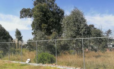 TERRENO EN RENTA CARRETERA ALMOLOYA DE JUAREZ, TLALCILALCALI, CERCA PENAL