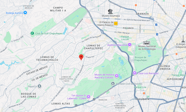 EDIFICIO EN VENTA EN LOMAS DE CHAPULTEPEC MIGUEL HIDALGO DE REMATE