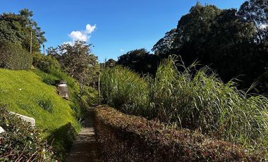 Se arrienda apartamento en torres del campo Rionegro