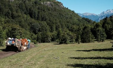 LOS LAGOS – CAMPO EN LAGO LAS ROCAS, COCHAMO