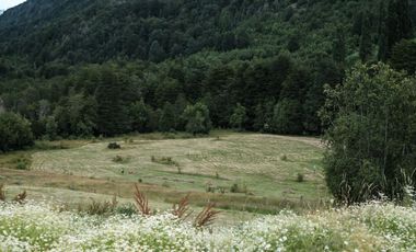 LOS LAGOS – CAMPO EN LAGO LAS ROCAS, COCHAMO