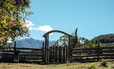 LOS LAGOS – CAMPO EN LAGO LAS ROCAS, COCHAMO