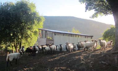 LOS LAGOS – CAMPO EN LAGO LAS ROCAS, COCHAMO