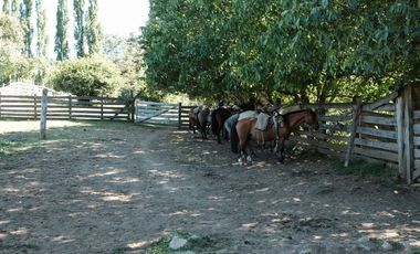 LOS LAGOS – CAMPO EN LAGO LAS ROCAS, COCHAMO