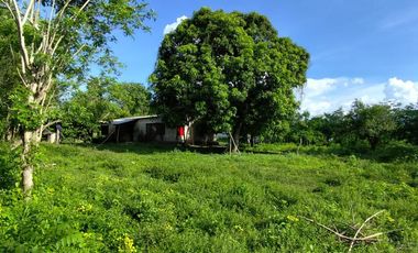 SE VENDE LOTE UBICADO EN SAMPUÉS SUCRE