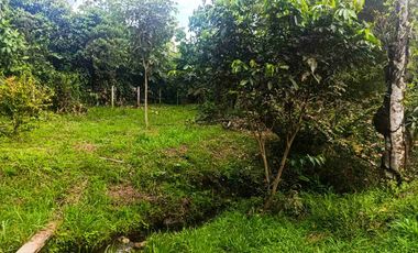 Terreno en venta en Sucua