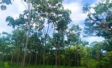 Terreno en venta en Sucua