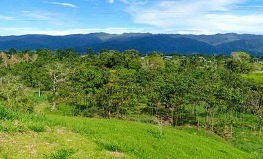 Terreno en venta en Sucua