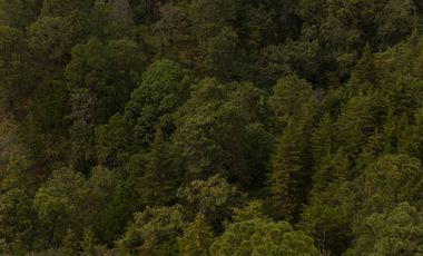 Terreno en Valle de Bravo (Acatitlán) Con Vista Al Bosque E3