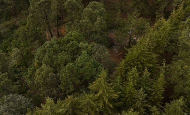 Terreno en Valle de Bravo (Acatitlán) Con Vista Al Bosque E3