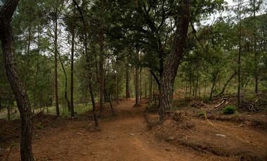 Terreno en Valle de Bravo (Acatitlán) Con Vista Al Bosque E3
