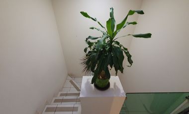 Casa en Venta Bonaterra, Coto Bonanza