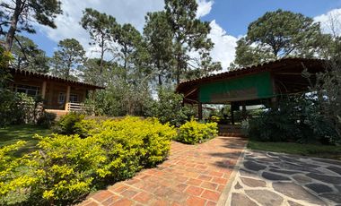 BONITA CABAÑA EN VENTA EN MAZAMITLA