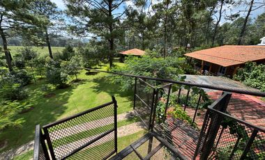 BONITA CABAÑA EN VENTA EN MAZAMITLA