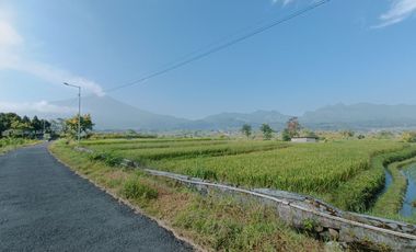 LAND PACET VIEW SWEET, GOOD, STRATEGIC