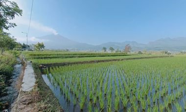 LAND PACET VIEW SWEET, GOOD, STRATEGIC