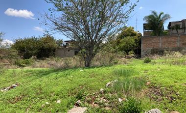 TERRENO EN RENTA EN SAN JOSE DEL CASTILLO