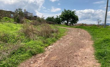 TERRENO EN RENTA EN SAN JOSE DEL CASTILLO