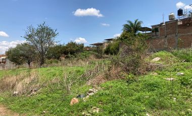 TERRENO EN RENTA EN SAN JOSE DEL CASTILLO