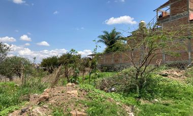 TERRENO EN RENTA EN SAN JOSE DEL CASTILLO
