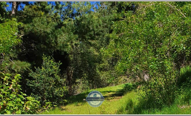 VENDE OARCELA CON CASA EN LAGUNA VERDE - VALPARAISO