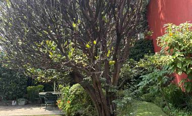 Amplia casa sola en calle Santa Clara, San Cristobal.