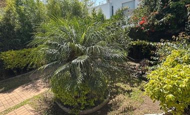 Casa de renta, sector la Viña Alta, Tumbaco