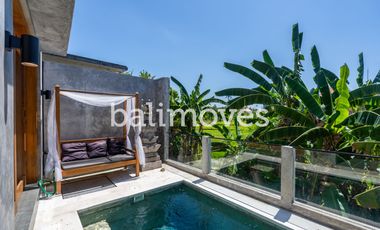 Brand New Two Bedroom Villa with Rice Field Views in Batubulan