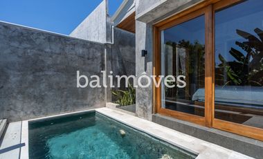 Brand New Two Bedroom Villa with Rice Field Views in Batubulan