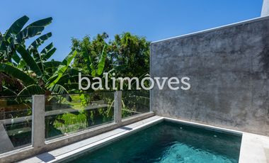 Brand New Two Bedroom Villa with Rice Field Views in Batubulan